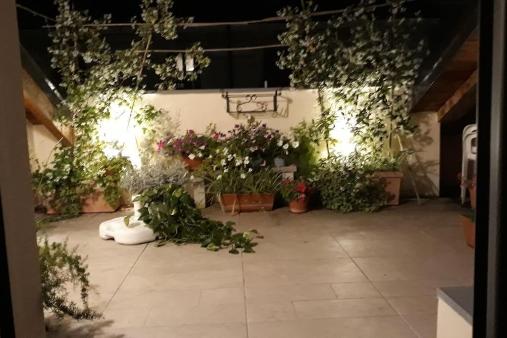 Mansarda Con Terrazzo Centralissima Apartamento